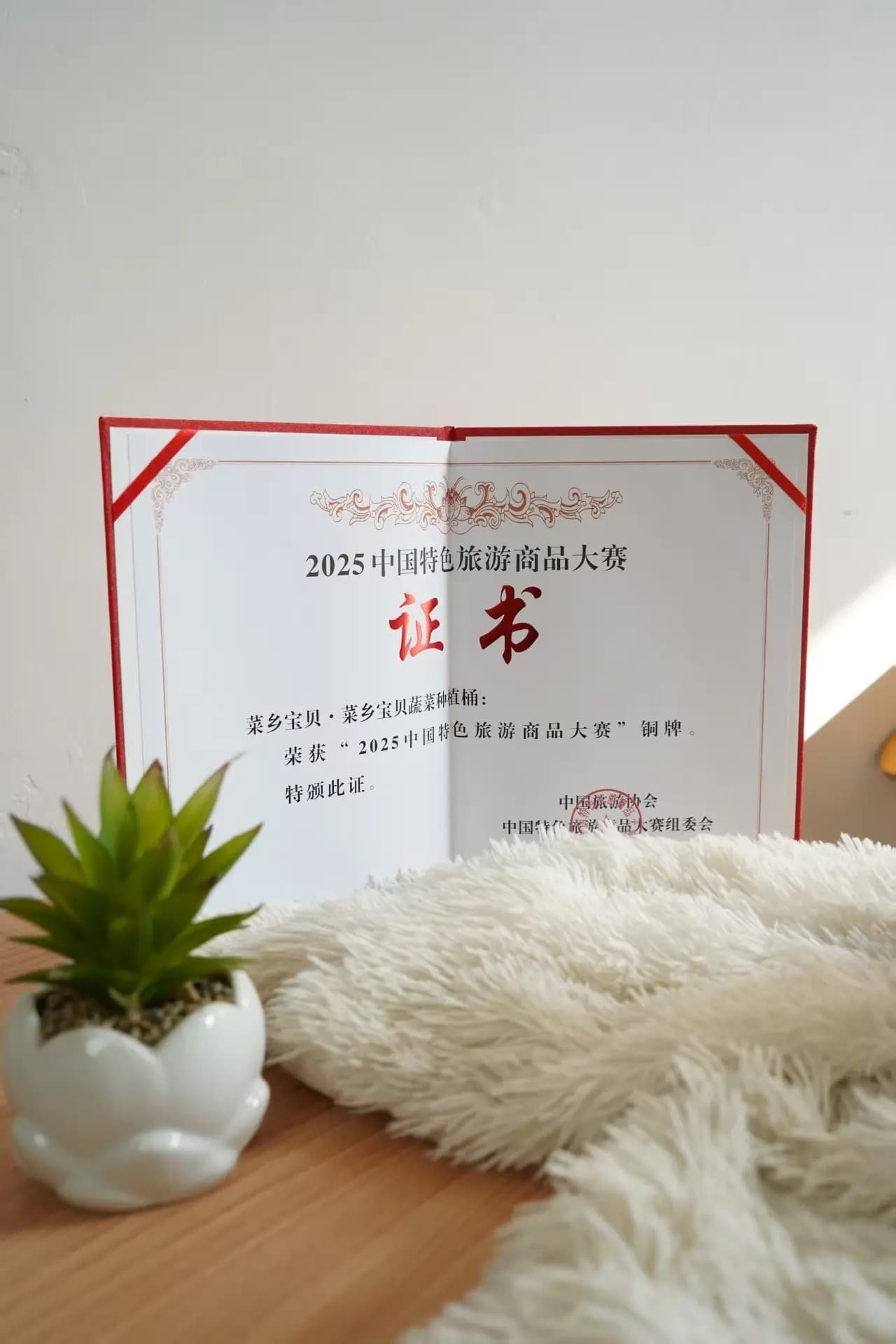 布好玩斩获 2025 中国特色旅游商品大赛铜牌图片 4
